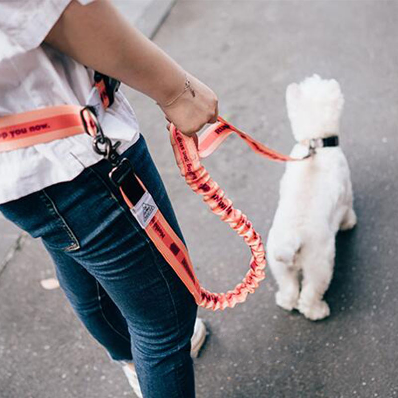 Running Gear Holder - ปรับมือฟรีสายจูงสุนัขสําหรับสุนัขสัตว์เลี้ยงเดินวิ่งจ๊อกกิ้งสายจูงสุนัขเข็มขัดเอวสายรัดหน้าอกเชือกดึงปลอกคอสัตว์เลี้ยง