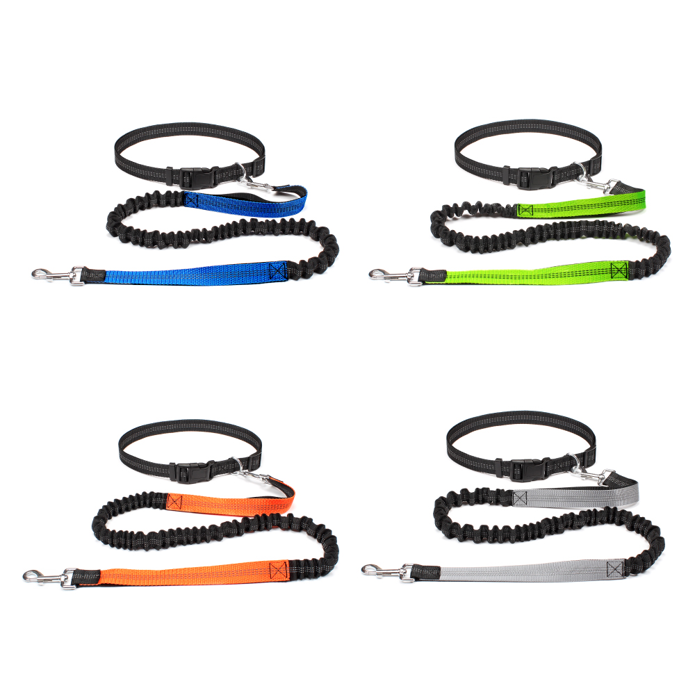 สายจูงสุนัขแบบแฮนด์ฟรีสำหรับพา - Running Gear Holder บทวิจารณ์และราคา