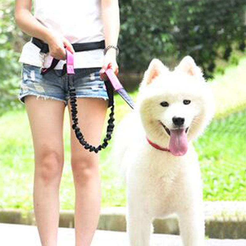 ปรับมือฟรีสายจูงสุนัขสําหรับสุ - Running Gear Holder บทวิจารณ์และราคา